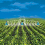 Sprayers - High Plains Apache